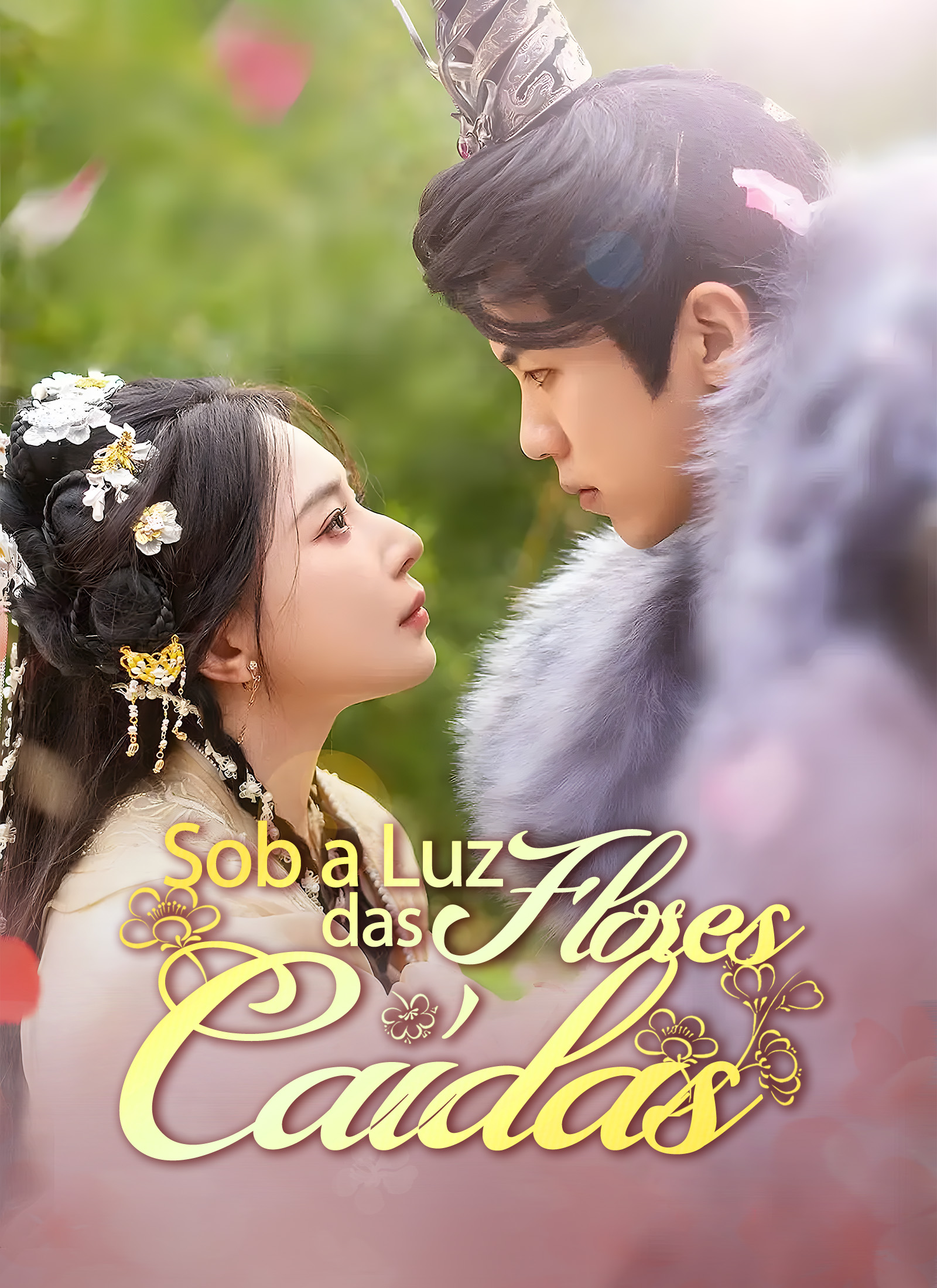 Sob a Luz das Flores Caídas