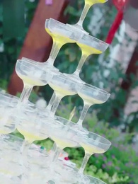 Tập 25 - Tự Thương Lấy Mình