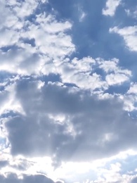 Fugindo do Abraço do Bilionário - Episode 54