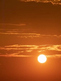 孝行息子 - Episode 10