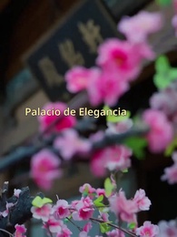 Episodio 38 - [Doblado] Médica milagrosa y princesa viciosa