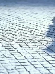 第12集 - 亂世佳人