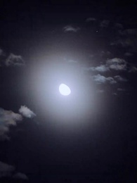 Episode 57 - Ungeliebter Milliardar-Ex