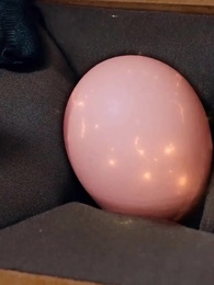 第45話 - 電撃婚の妻はまさかの鑑定士!