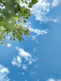 ตอนที่ 89 - [พากย์ไทย] ความลับคืนนี้ของสองเรา