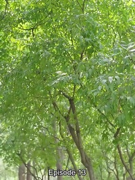 [Dijuluki] Istri Bos Jadi Anak Magang - Episode 13