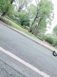 白茶不予 - Episode 8