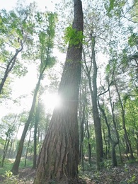 ดวงชะตาพาสามีมาส่ง - Episode 1