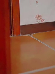 第34集 - 百草十裏正逢齡