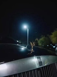 莫道桑榆晚 - Episode 43