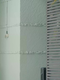 Épisode 6 - L'Amour Après le Divorce , l'Alpha Veut Me Reconquérir