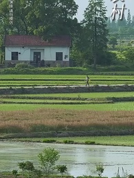 望子成龍 - Episode 47