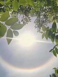 望子成龍 - Episode 7