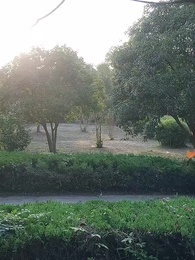 第37集 - 江山如塵愛如音