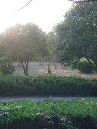 Episode 37 - Istri Sang Jendera