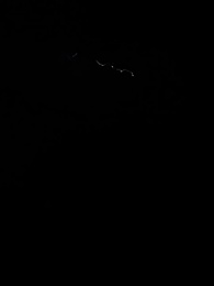 2화 - 아빠, 난 반격할 거야