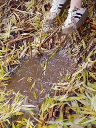 第42集 - 道是無情卻有晴