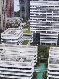 第30集 - 荊棘之上