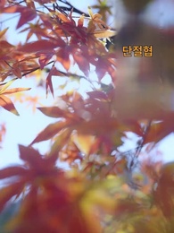 2화 - 더 헌신하지 않으리