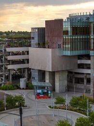 Episode 22 - Hidden Heiress, Unwanted Love