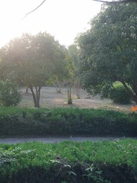 ตอนที่ 37 - เสน่หามิอาจลืม