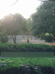 Against All Odds: The Blind Wife’s Fight - Episode 37