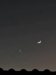 83화 - 부인, 나 좀 봐줘