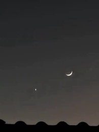 摂政王でも妻求めは難航中 - Episode 83