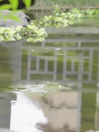 Istri Kesayangan Yang Berkuasa - Episode 33