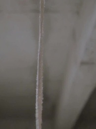 Cinta Sejati CEO Lumpuh - Episode 1