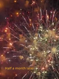 When Flowers Blossom Again - Episode 42