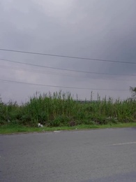 Sr. Welson, Tire Meu Fôlego - Episode 45