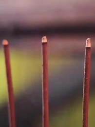 Episode 10 - Breaking All for Her