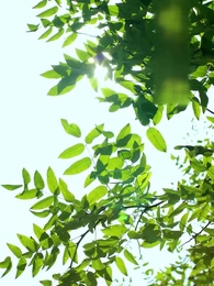 ตอนที่ 59 - [พากย์ไทย] สลับตัวกันแต่งงาน