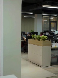 Episódio 34 - Sr. Welson, Tire Meu Fôlego