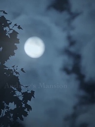 The CEO’s Miracle Baby - Episode 46