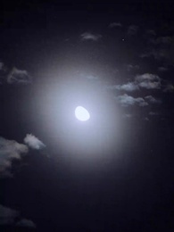 Episódio 57 - Meu Ex. Bilionário Indesejado