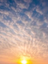 Le Retour du Maître Perdu - Episode 47