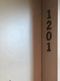 El Doble Jefe Secreto - Episode 11