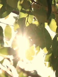 [Dublado] Desejo Proibido - Episode 62