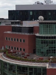 Flash Marriage with My MMA Husband - Episode 50