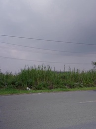 Épisode 45 - Prends Mon Souffle, M. Lefèvre !