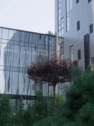 No Te Enamores de Mí, Esposo - Episode 8