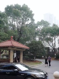 ตอนที่ 16 - ตีท้ายครัว