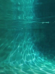 Flash Marriage with My MMA Husband - Episode 55