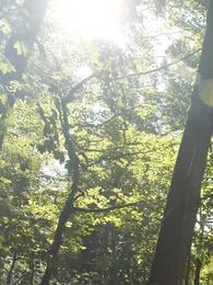 Embrasse-moi, mon Alpha Prédestiné - Episode 32