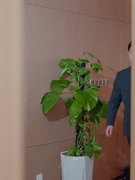 Episode 38 - Unreachable After the Divorce