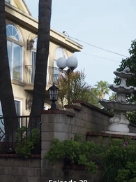 Die Erbin schlägt zurück - Episode 29