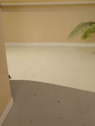 Menantu Dewa Naga - Episode 45