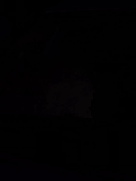 Quem é a Herdeira Elusiva? - Episode 34